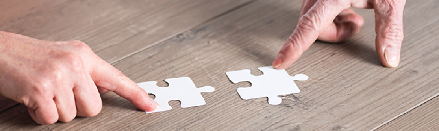 Putting puzzle pieces together